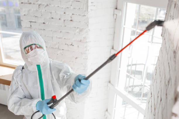 Best Mold Removal for HVAC Installations  in Colfax, IA